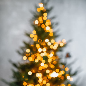 Genuss unterm Christbaum: Das Exklusive Weihnachtspaket der Edelbrennerei Benedikt Bentele am Bodensee
